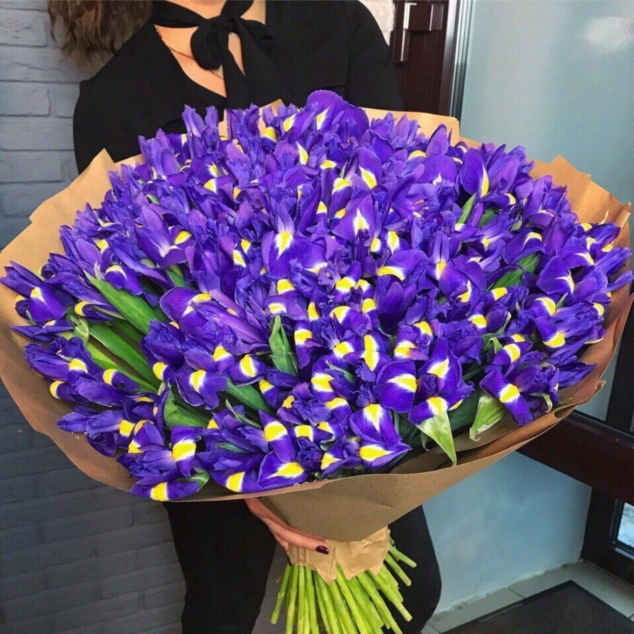 Bouquet 101 Purple Iris: A Burst of Elegance